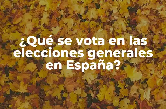 ¿qué Se Vota en las Elecciones Generales en España?
