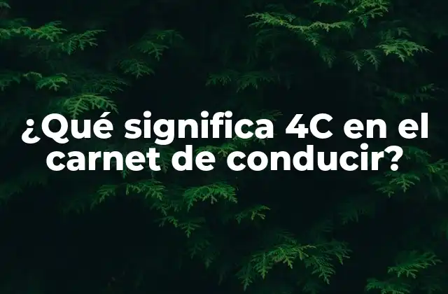 ¿Qué es la categoría 4C en el carnet de conducir?