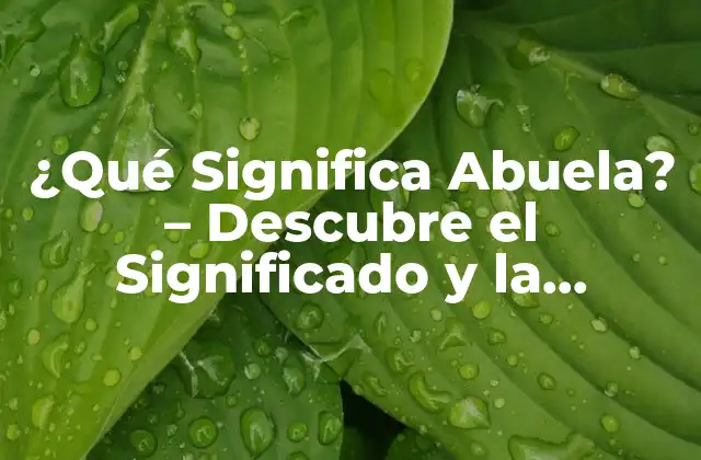 ¿qué Significa Abuela? – Descubre el Significado y la Importancia de Este Término