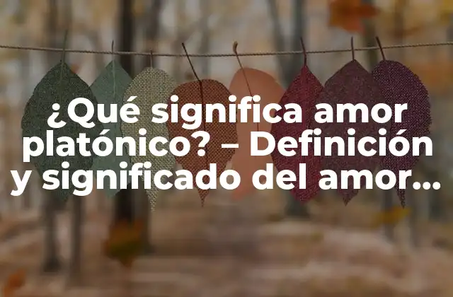 ¿qué Significa Amor Platónico? – Definición y Significado Del Amor Platónico