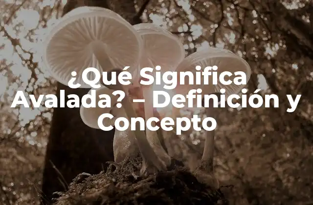 ¿qué Significa Avalada? – Definición y Concepto