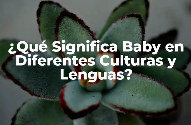 Orígenes Históricos de la Palabra Baby