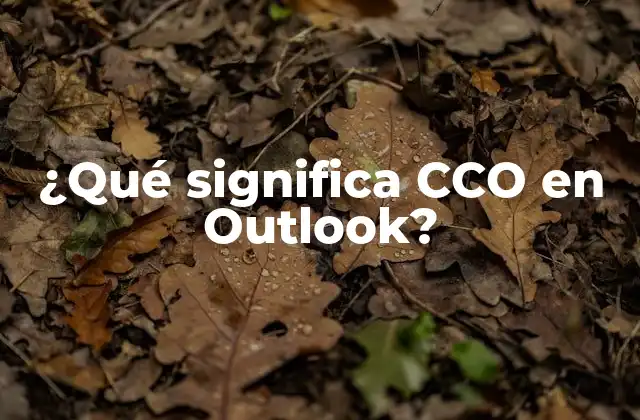 ¿qué Significa Cco en Outlook?
