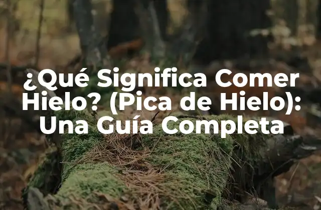 ¿qué Significa Comer Hielo? (pica de Hielo): una Guía Completa 2 Causas de la Pica de Hielo