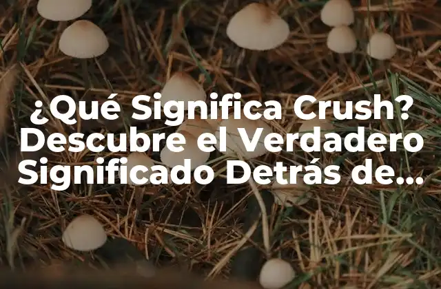 ¿qué Significa Crush? Descubre el Verdadero Significado Detrás de Este Término