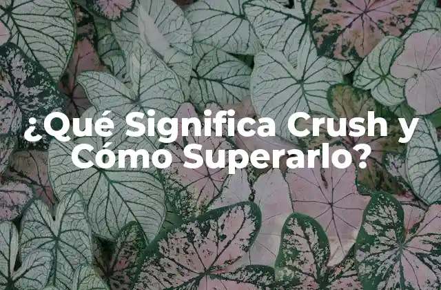 ¿qué Significa Crush y Cómo Superarlo? 2 Definición de Crush