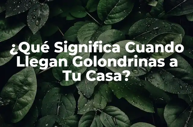 ¿qué Significa Cuando Llegan Golondrinas a Tu Casa?