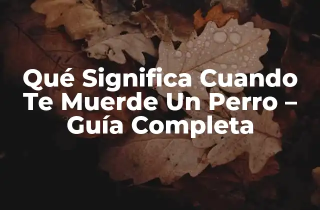Qué Significa Cuando Te Muerde un Perro – Guía Completa