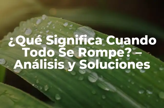 ¿qué Significa Cuando Todo Se Rompe? – Análisis y Soluciones