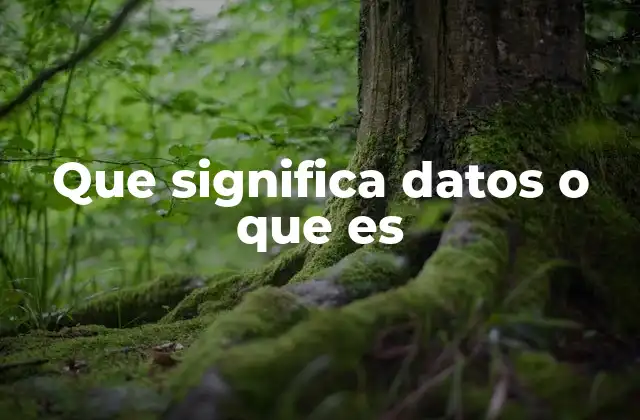 Que Significa Datos o que es