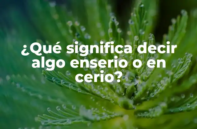 ¿qué Significa Decir Algo Enserio o en Cerio?