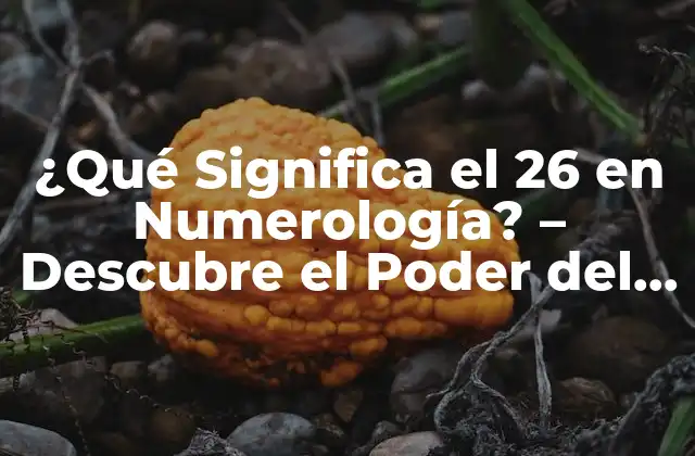 ¿qué Significa el 26 en Numerología? – Descubre el Poder Del Número