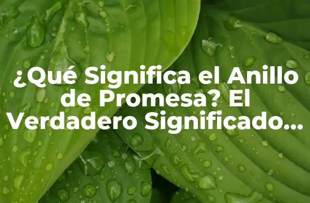 ¿qué Significa el Anillo de Promesa? el Verdadero Significado Detrás Del Compromiso