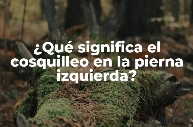 ¿qué Significa el Cosquilleo en la Pierna Izquierda?