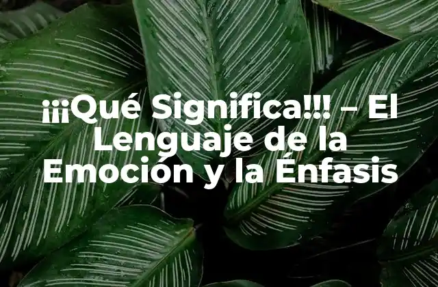 ¡¡¡qué Significa!!! – el Lenguaje de la Emoción y la Énfasis