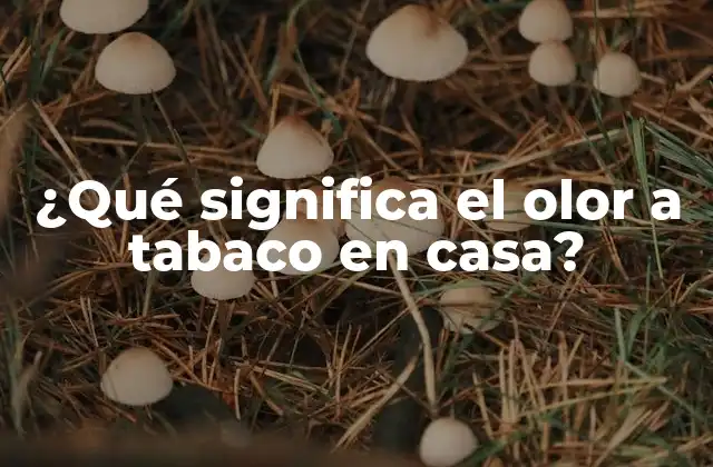 ¿qué Significa el Olor a Tabaco en Casa?