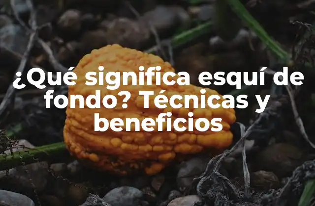 ¿qué Significa Esquí de Fondo? Técnicas y Beneficios
