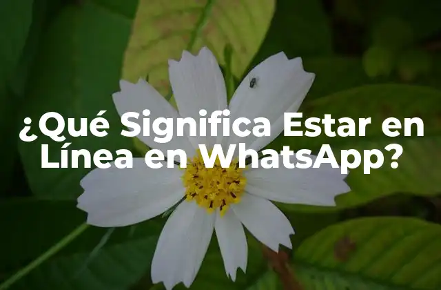 Cómo Funciona la Funcionalidad de En Línea en WhatsApp