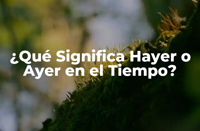 ¿qué Significa Hayer o Ayer en el Tiempo? 2 La Teoría del Tiempo y el Concepto de Hayer o Ayer