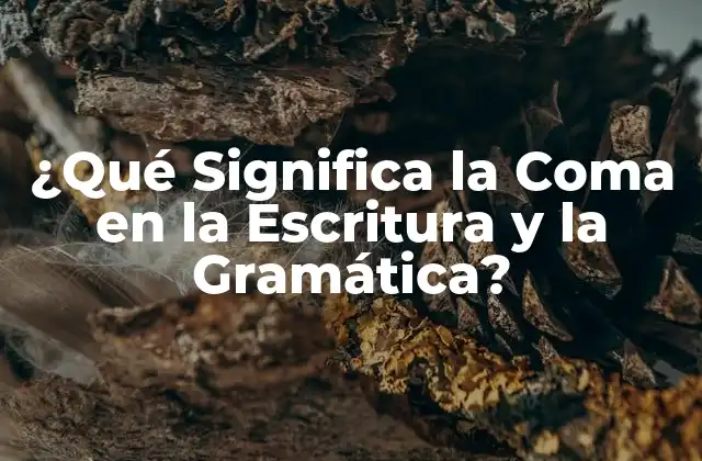 ¿qué Significa la Coma en la Escritura y la Gramática?