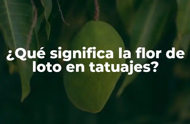 ¿qué Significa la Flor de Loto en Tatuajes?
