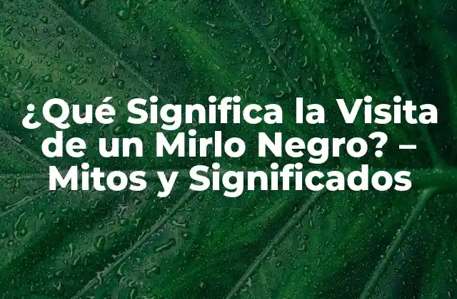 ¿qué Significa la Visita de un Mirlo Negro? – Mitos y Significados
