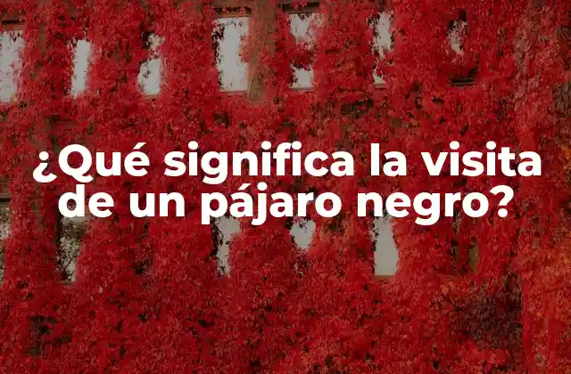¿qué Significa la Visita de un Pájaro Negro?