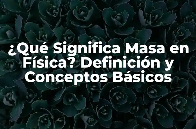 ¿qué Significa Masa en Física? Definición y Conceptos Básicos