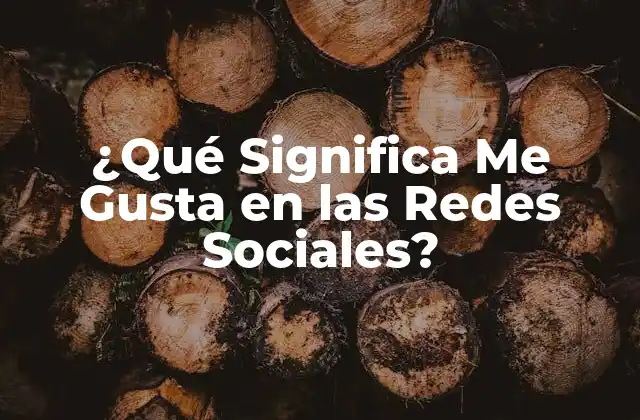 ¿qué Significa Me Gusta en las Redes Sociales?