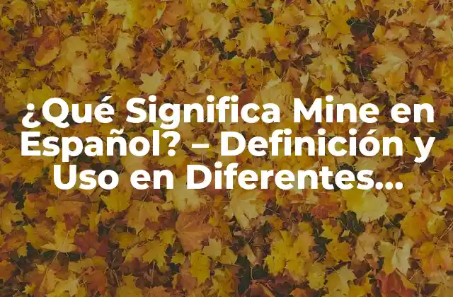 ¿qué Significa Mine en Español? – Definición y Uso en Diferentes Contextos