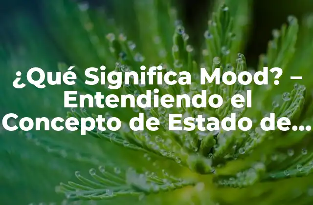 ¿qué Significa Mood? – Entendiendo el Concepto de Estado de Ánimo