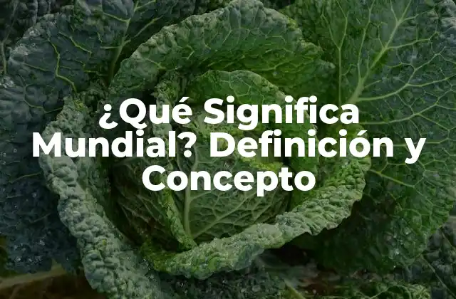 ¿qué Significa Mundial? Definición y Concepto