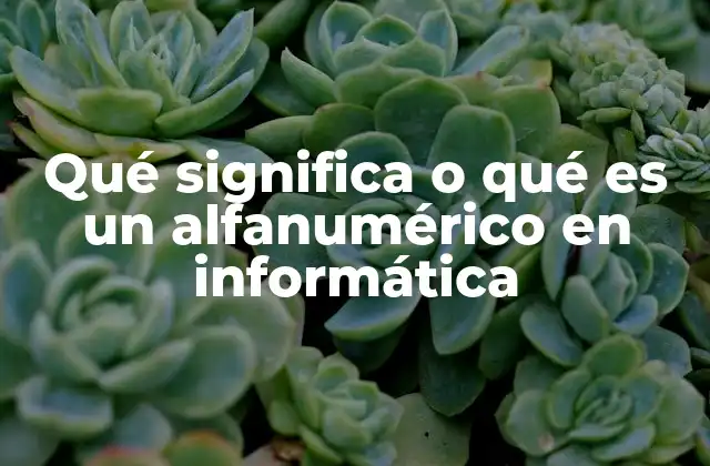 Qué Significa o Qué es un Alfanumérico en Informática