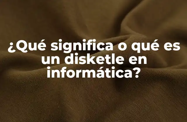 ¿qué Significa o Qué es un Disketle en Informática?