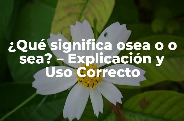 ¿qué Significa Osea o o Sea? – Explicación y Uso Correcto