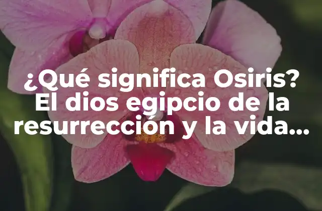 ¿qué Significa Osiris? el Dios Egipcio de la Resurrección y la Vida Eterna