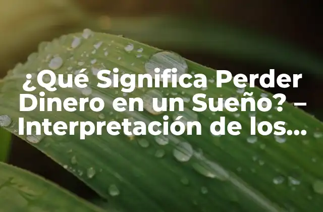 ¿qué Significa Perder Dinero en un Sueño? – Interpretación de los Sueños sobre Dinero