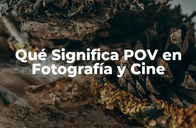 Qué Significa Pov en Fotografía y Cine