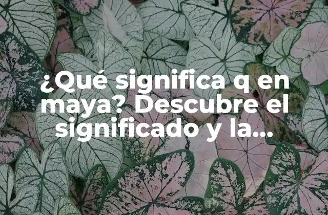 ¿qué Significa Q en Maya? Descubre el Significado y la Importancia de Este Glifo