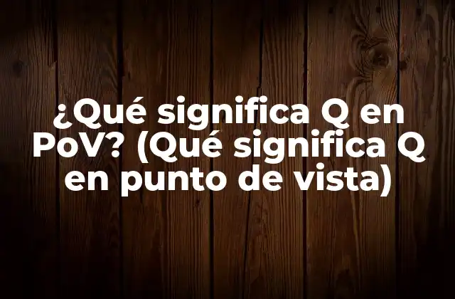 ¿qué Significa Q en Pov? (qué Significa Q en Punto de Vista)