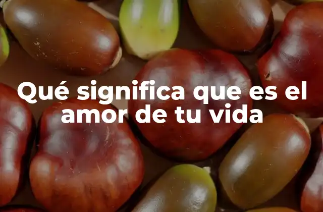 Qué Significa que es el Amor de Tu Vida