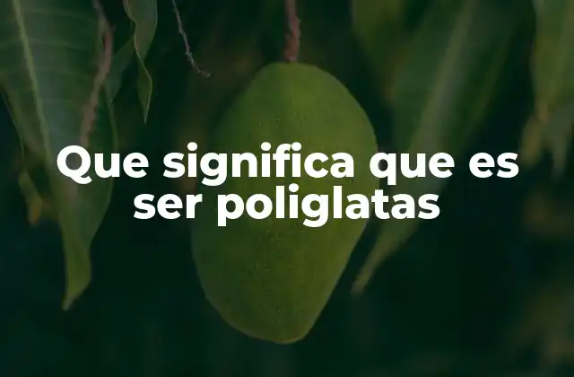 Que Significa que es Ser Poliglatas