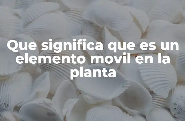 La importancia de la movilidad en la nutrición vegetal