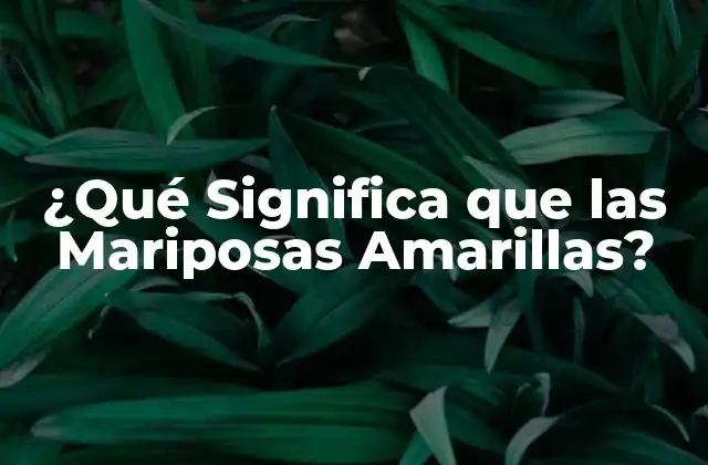 ¿qué Significa que las Mariposas Amarillas?