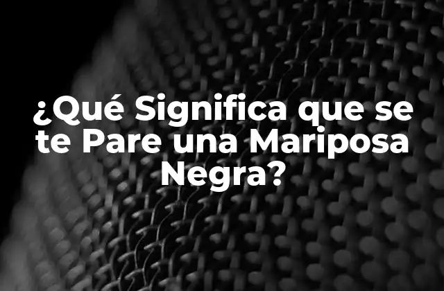 ¿qué Significa que Se Te Pare una Mariposa Negra?