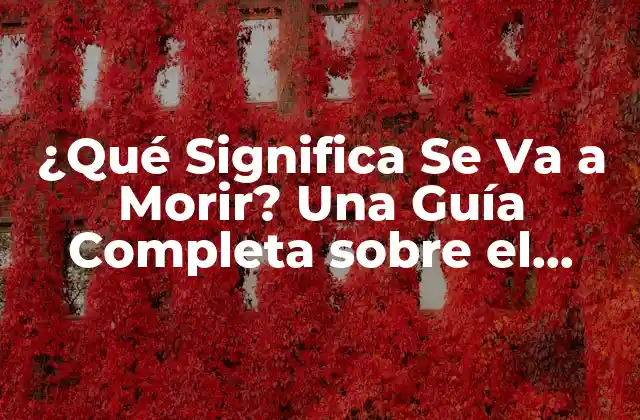 ¿qué Significa Se Va a Morir? una Guía Completa sobre el Concepto y Su Impacto