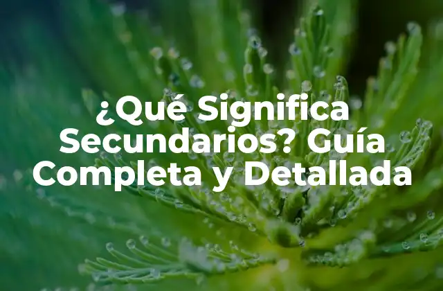 ¿qué Significa Secundarios? Guía Completa y Detallada