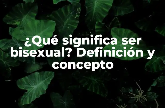 ¿qué Significa Ser Bisexual? Definición y Concepto