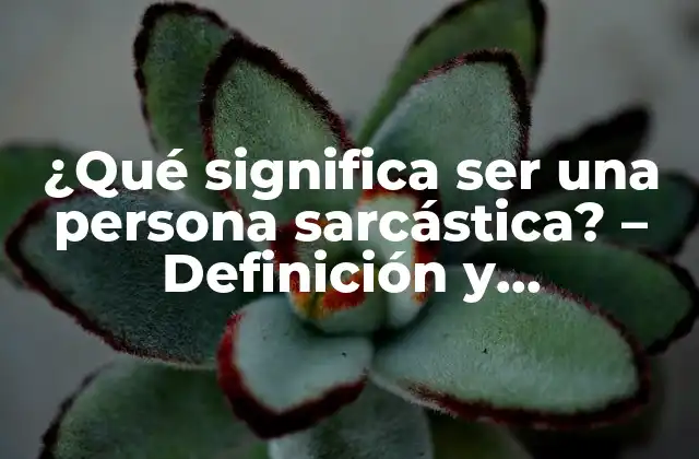¿qué Significa Ser una Persona Sarcástica? – Definición y Características