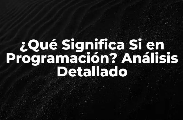¿qué Significa Si en Programación? Análisis Detallado